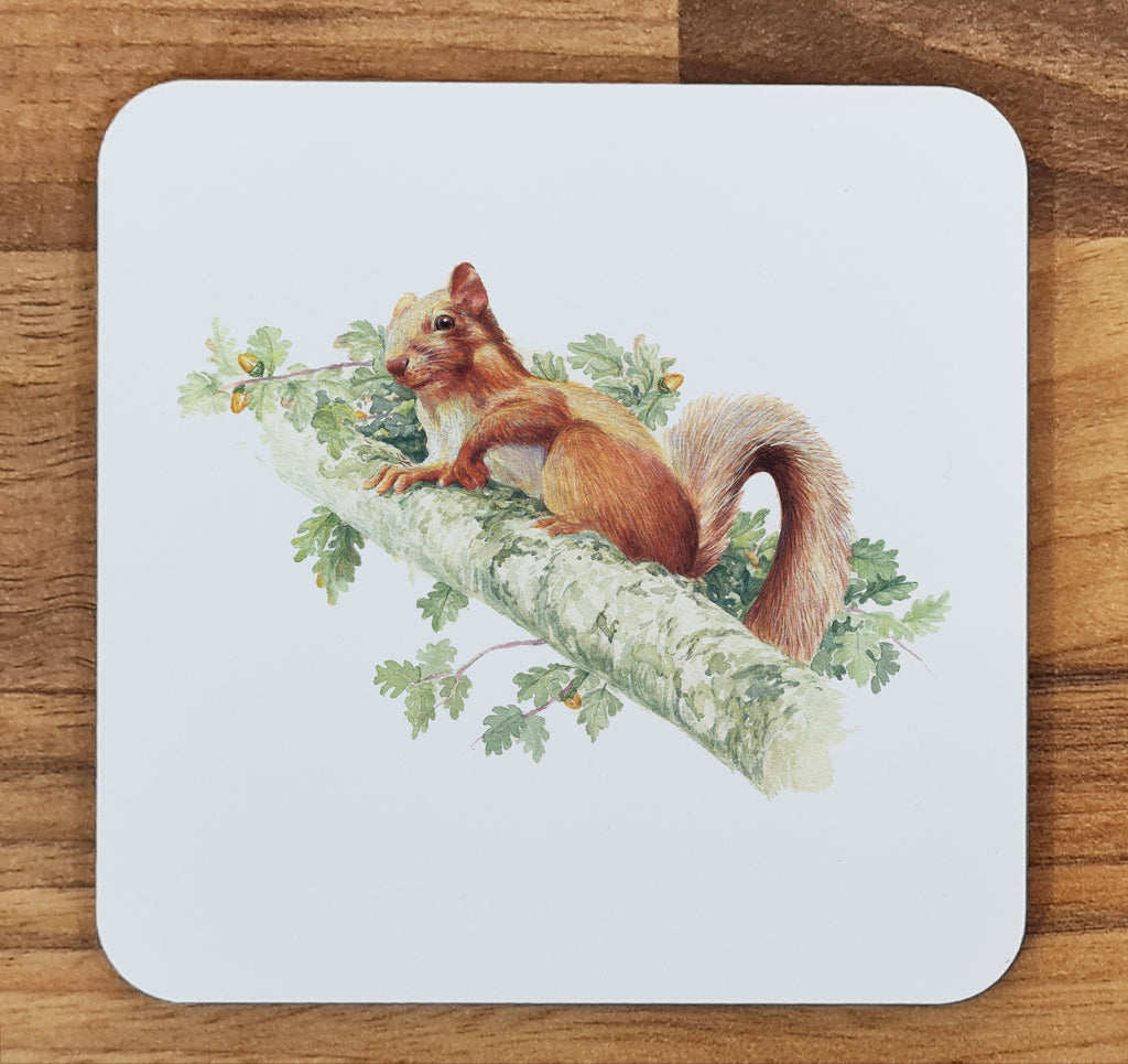 squirrel coaster