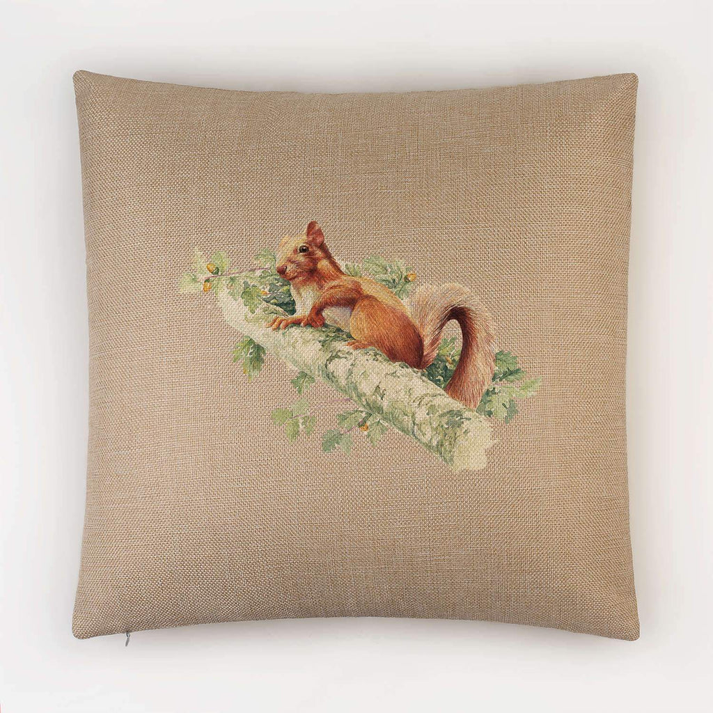 Red Squirrel Cushion - Countryman John