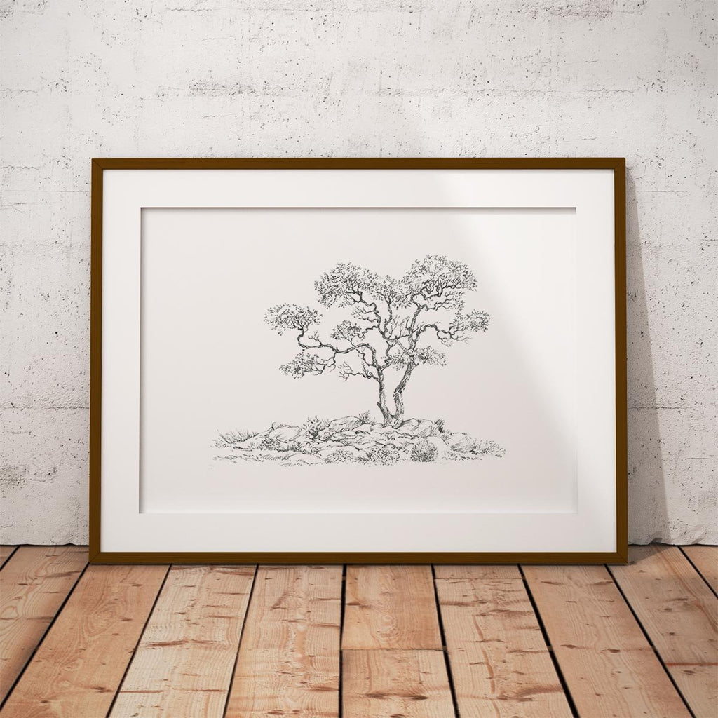 Gnarled Tree Wall Art Print - Countryman John