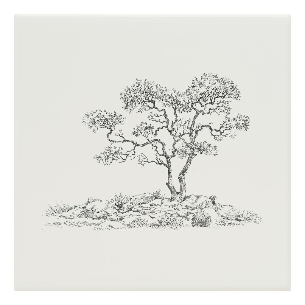 Gnarled Tree Tile - Countryman John