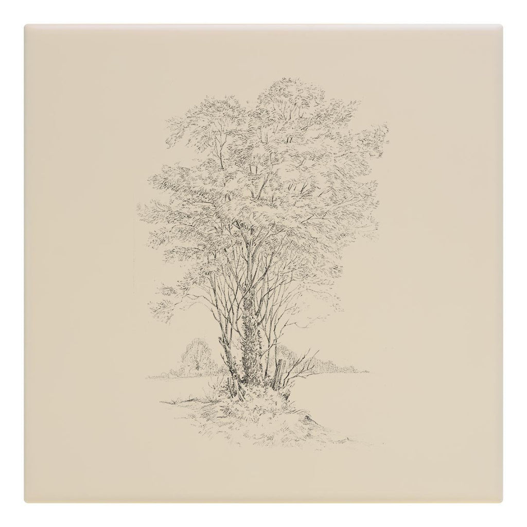 Grand Old Tree Tile - Countryman John