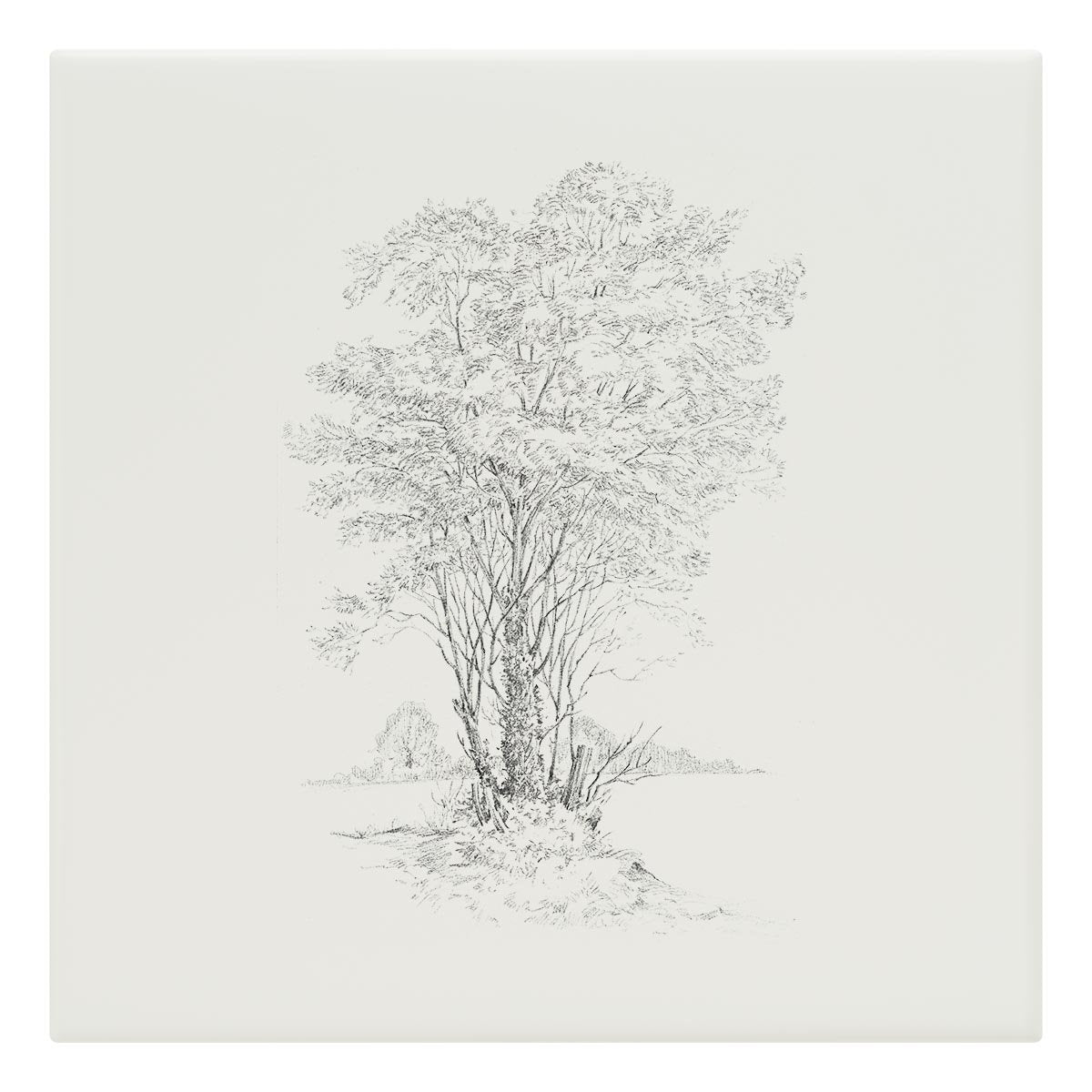 Grand Old Tree Tile - Countryman John