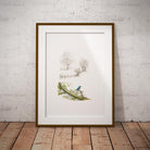 Kingfisher Alone Wall Art Print - Countryman John