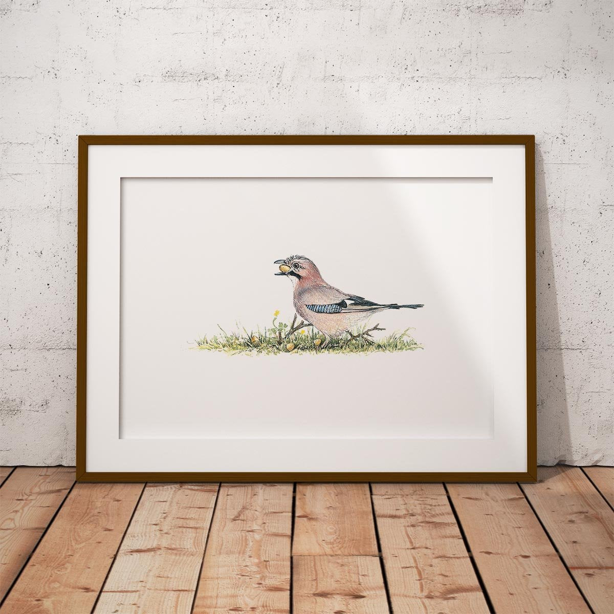 Jay Wall Art Print - Countryman John