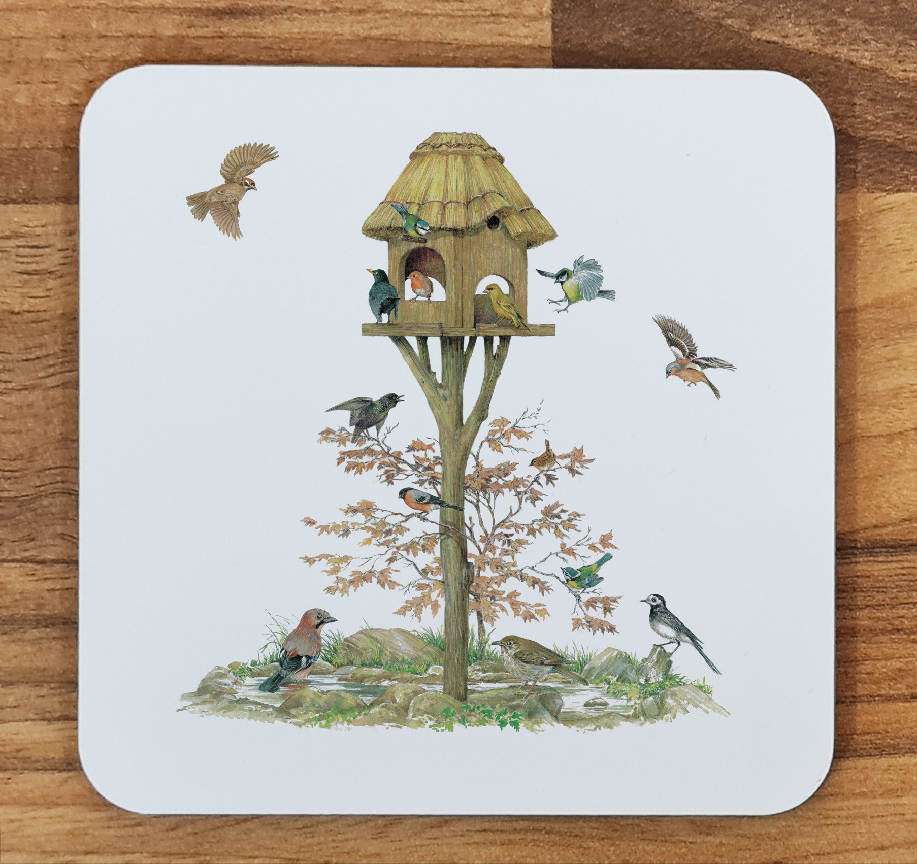 bird coaster