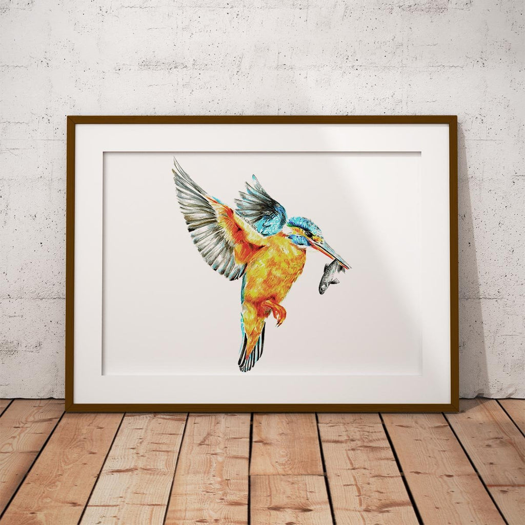 Kingfisher in Flight Wall Art Print - Countryman John