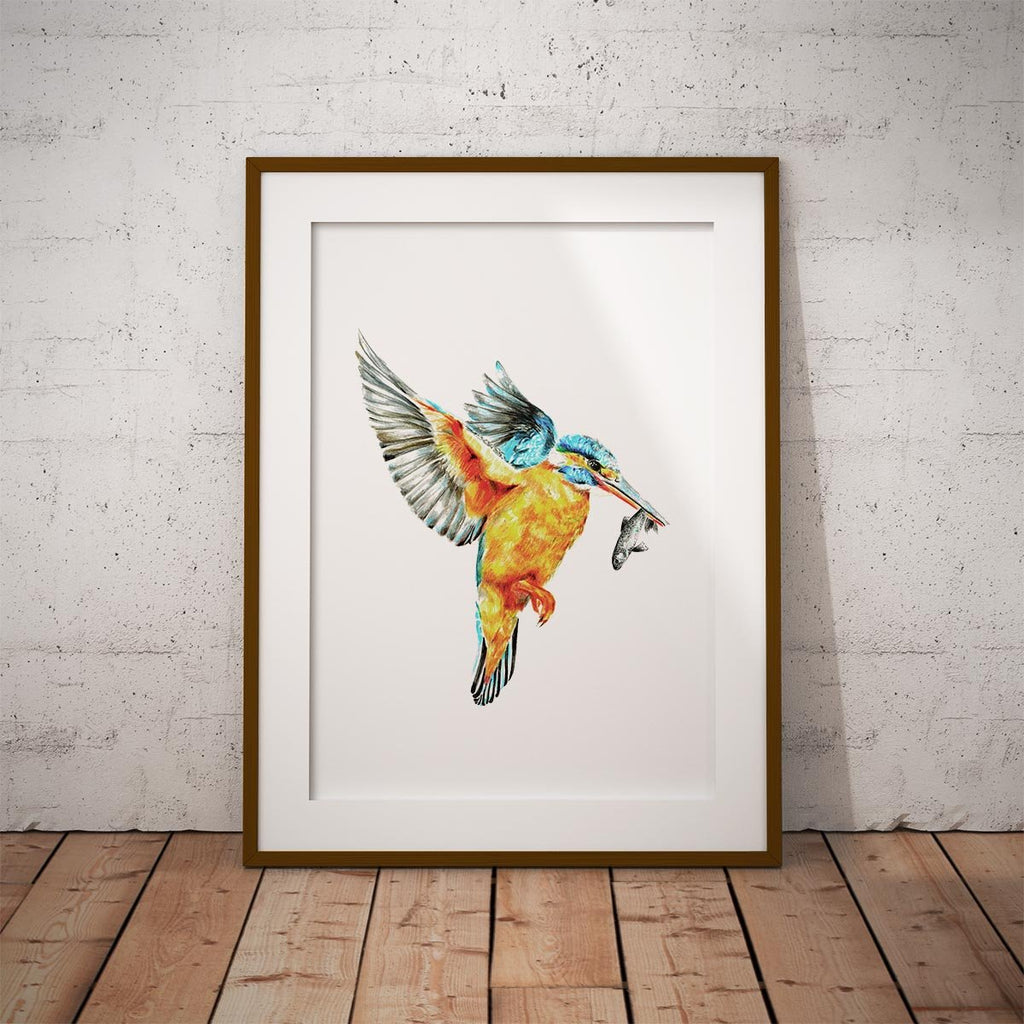 Kingfisher in Flight Wall Art Print - Countryman John