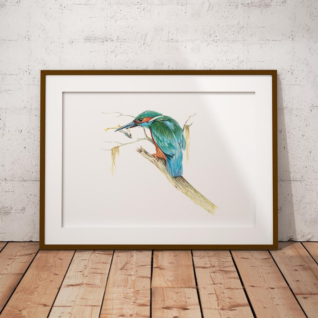 Kingfisher with Catch Wall Art Print - Countryman John
