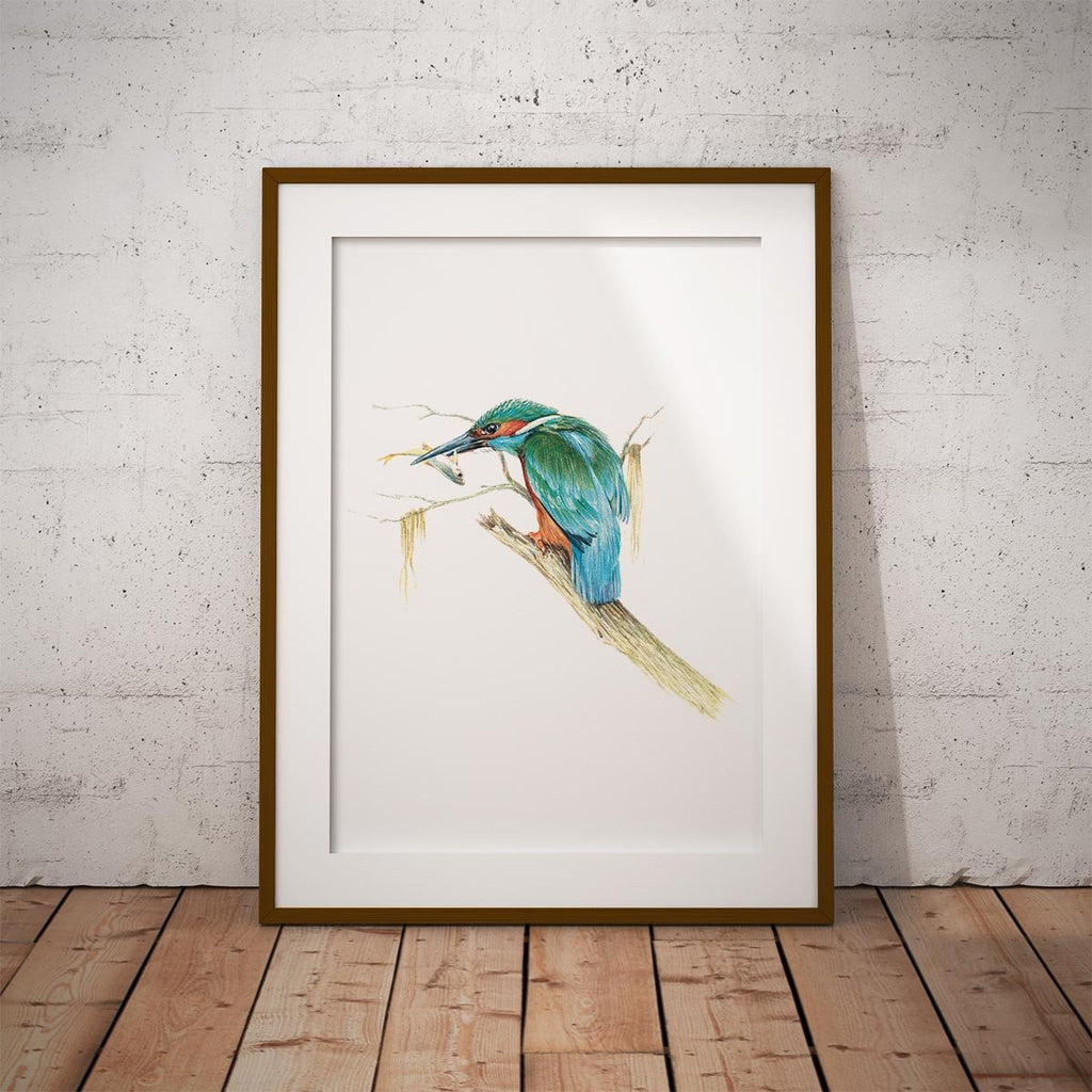 Kingfisher with Catch Wall Art Print - Countryman John