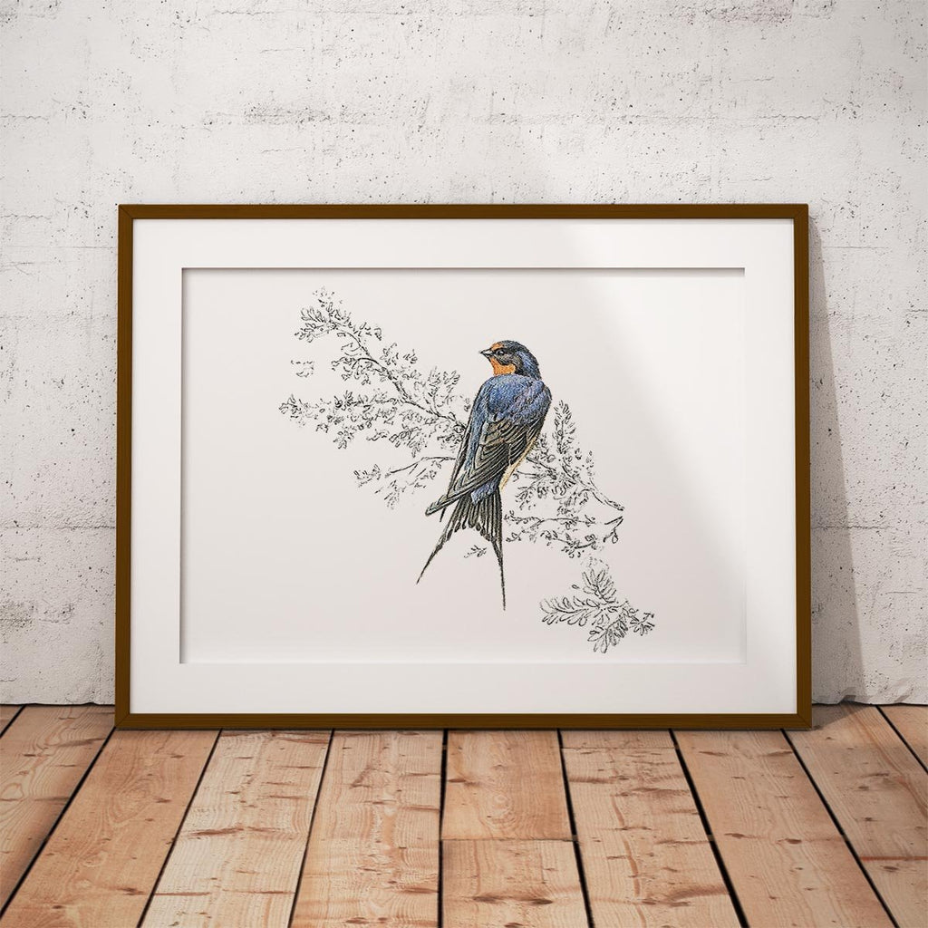 Swallow Wall Art Print - Countryman John