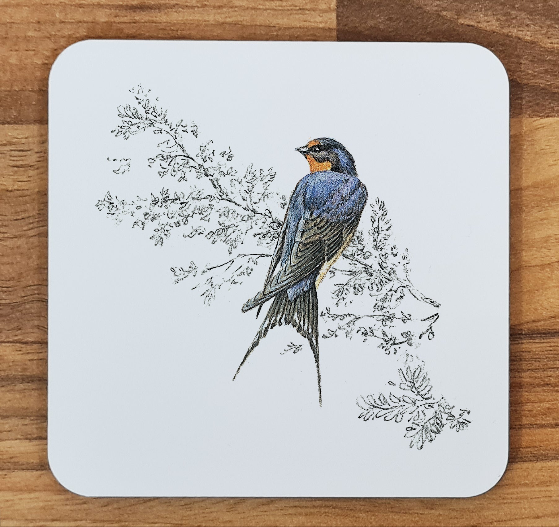 bird coaster