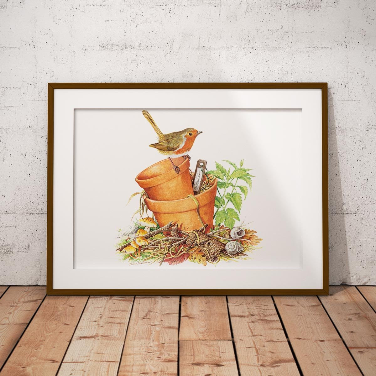 Robin Wall Art Print - Countryman John