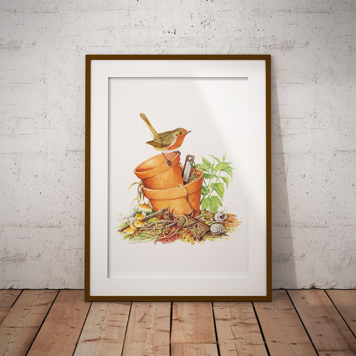 Robin Wall Art Print - Countryman John