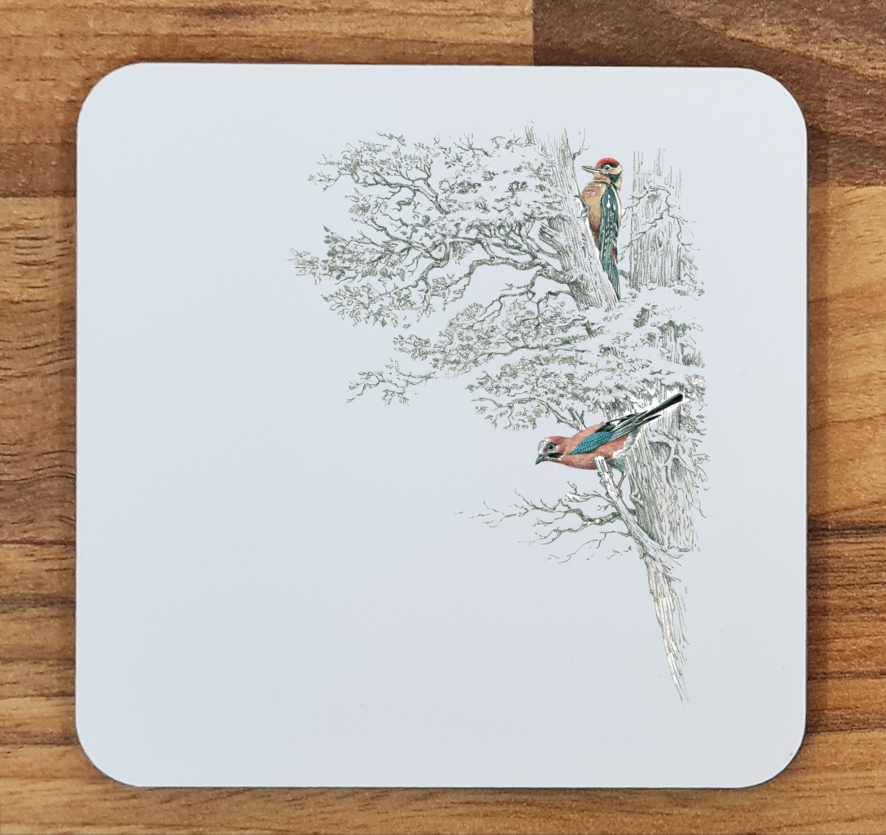 bird coaster