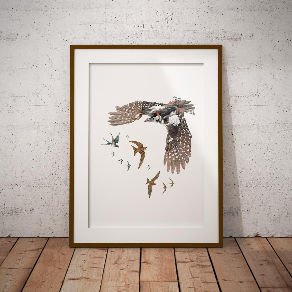 Woodpecker Swallows and Swifts Wall Art Print - Countryman John