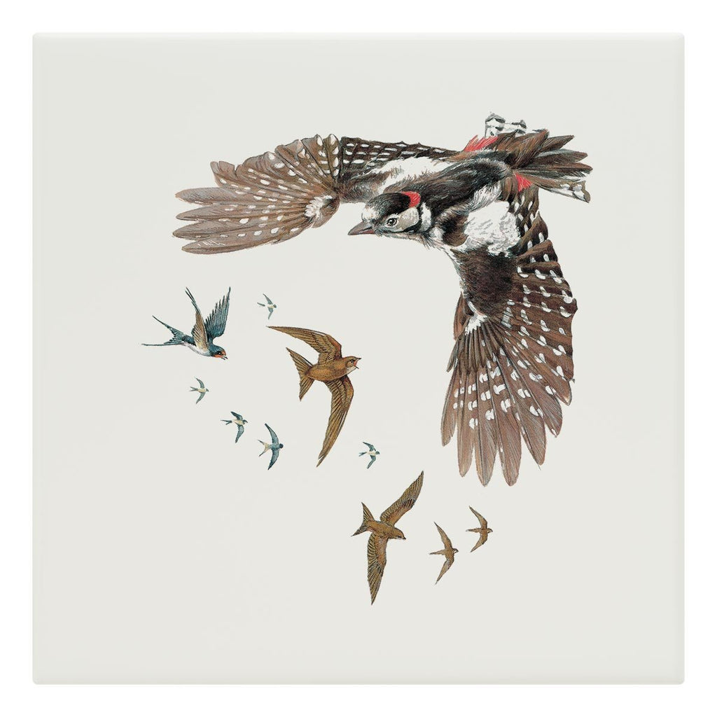 Woodpecker Swallows and Swifts Tile - Countryman John