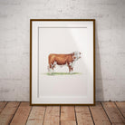 Unknown Bullock Wall Art Print - Countryman John