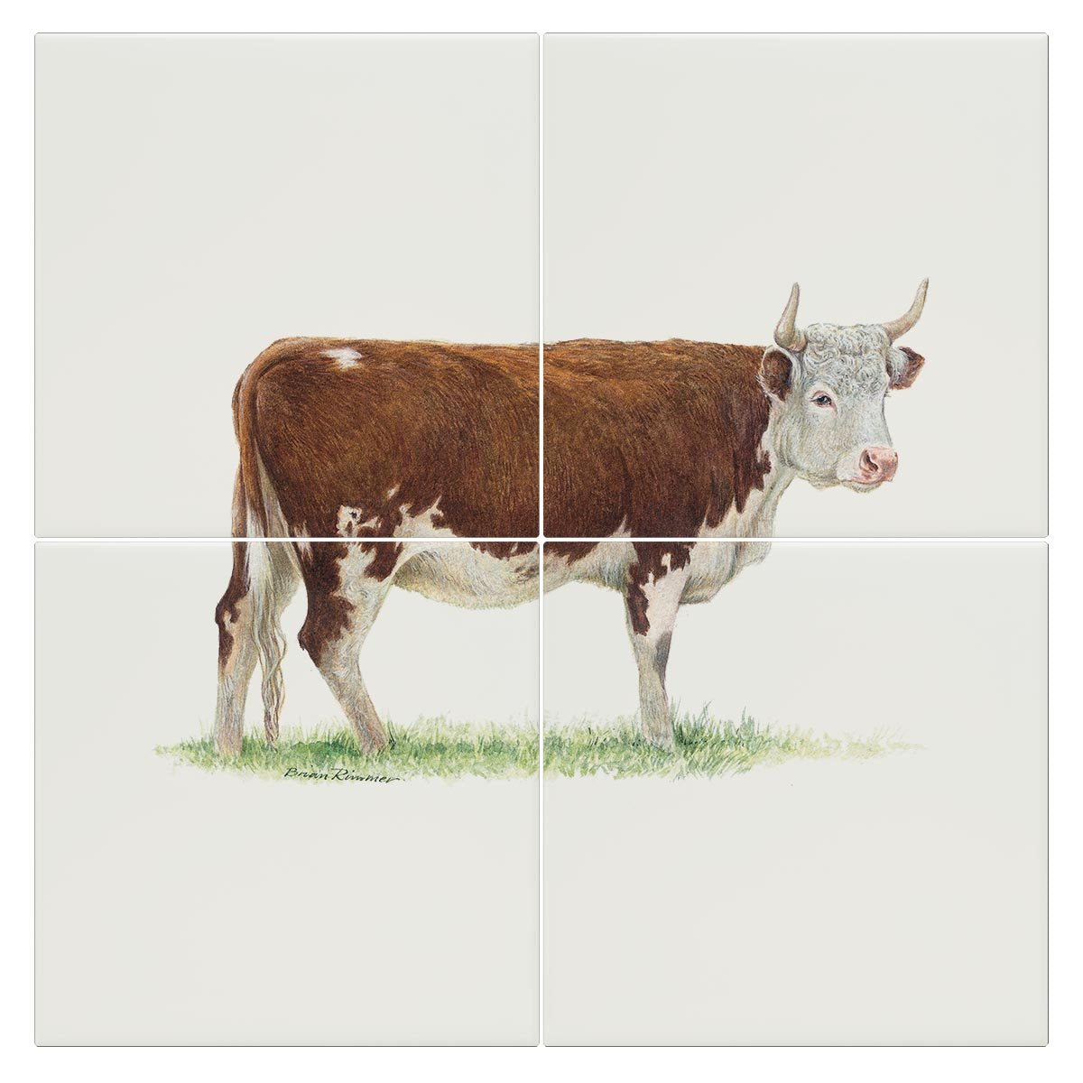 Bullock 2 Tile - Countryman John