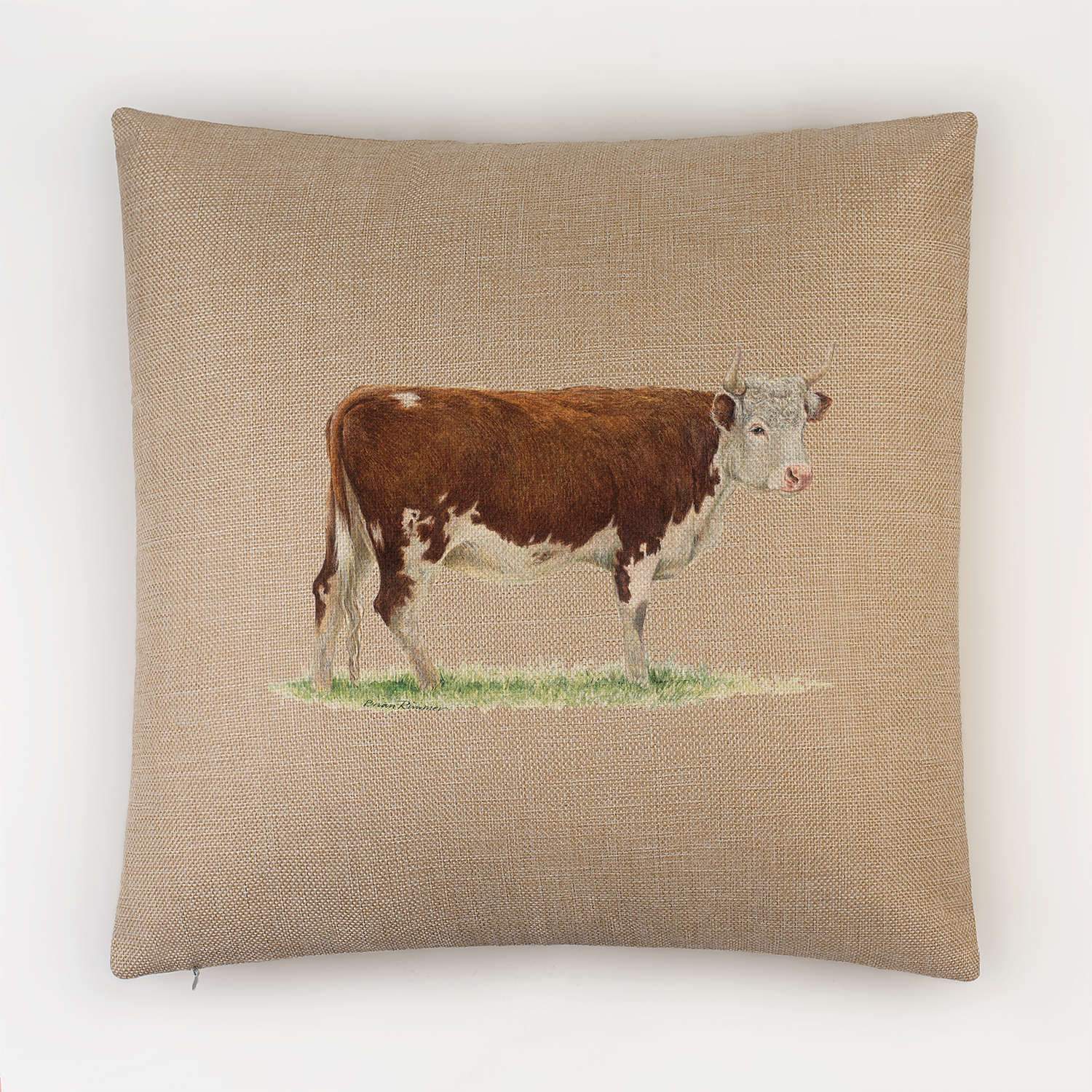 Bullock 2 Cushion - Countryman John