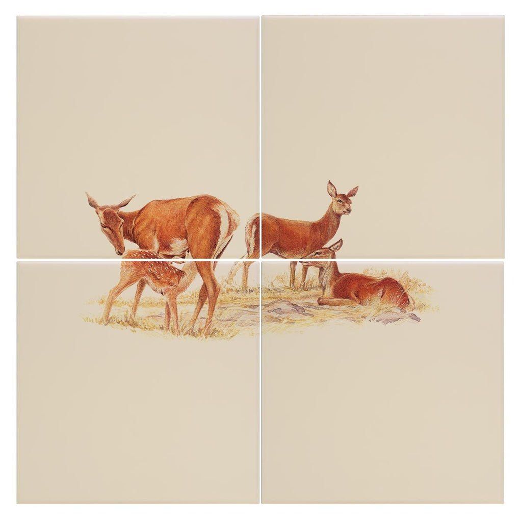 Red Hind with Calf Tile - Countryman John