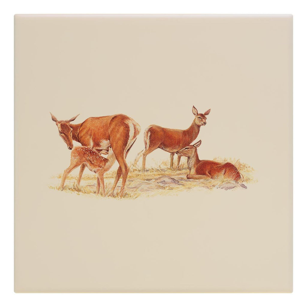 Red Hind with Calf Tile - Countryman John