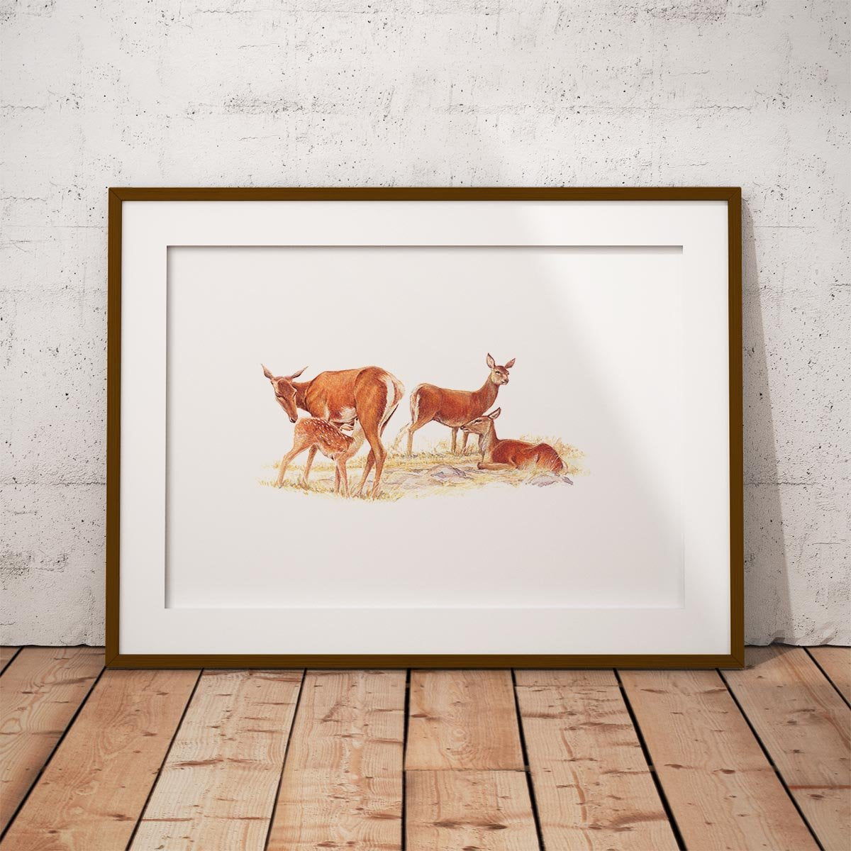 Red Hind with Calf Wall Art Print - Countryman John