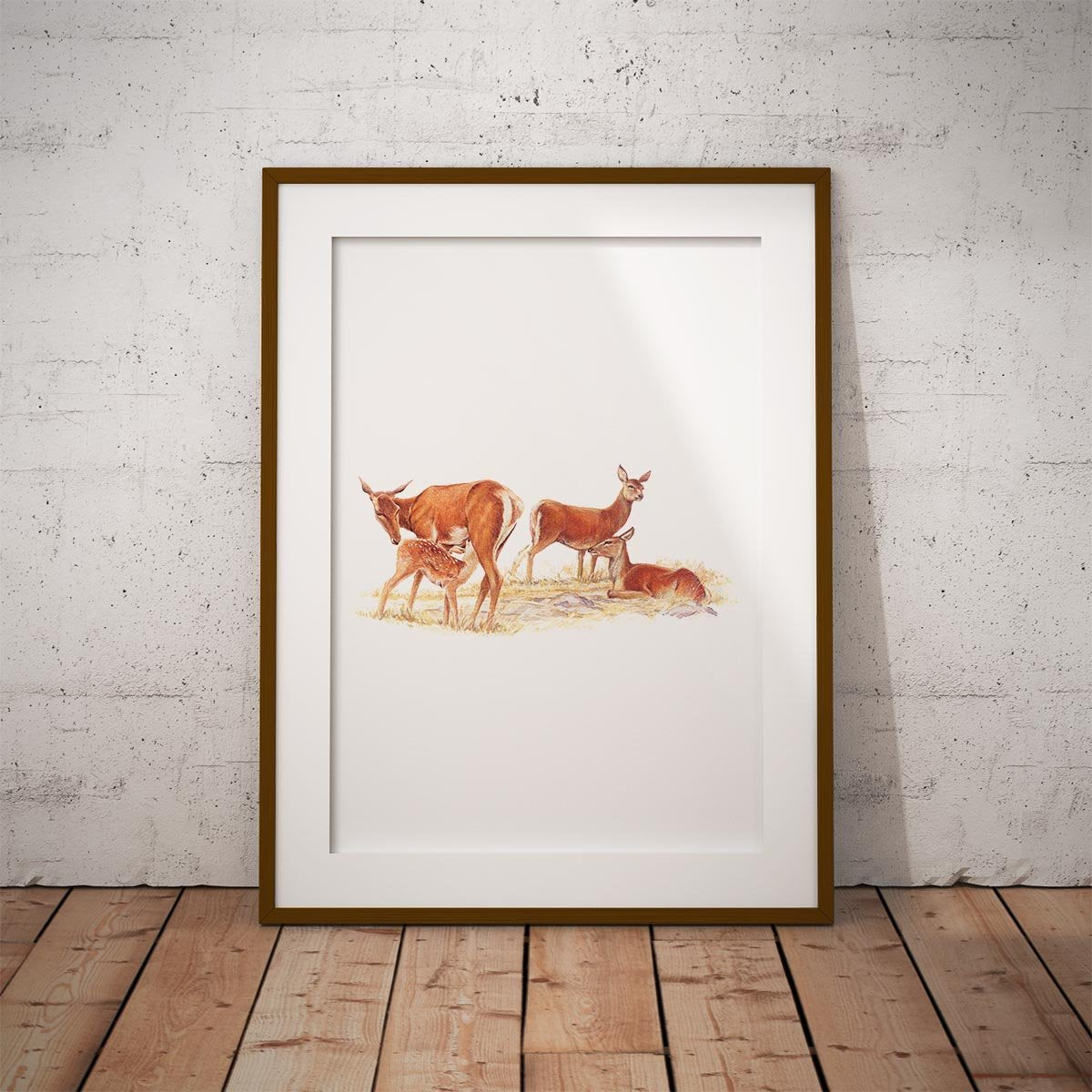 Red Hind with Calf Wall Art Print - Countryman John