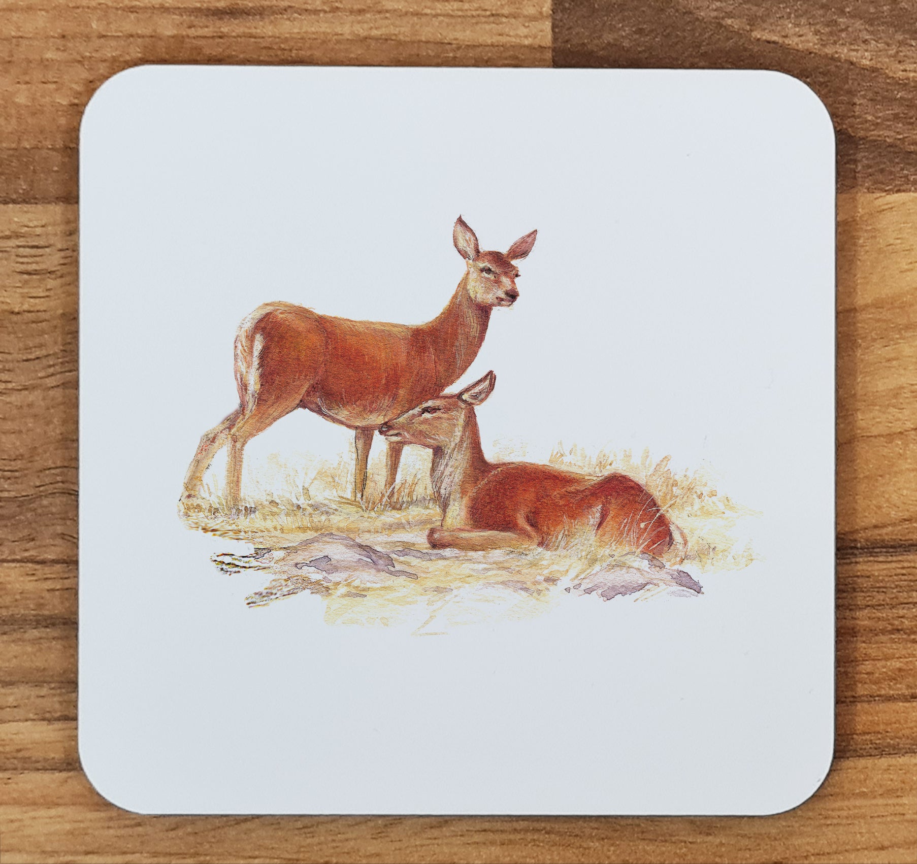 deer coaster