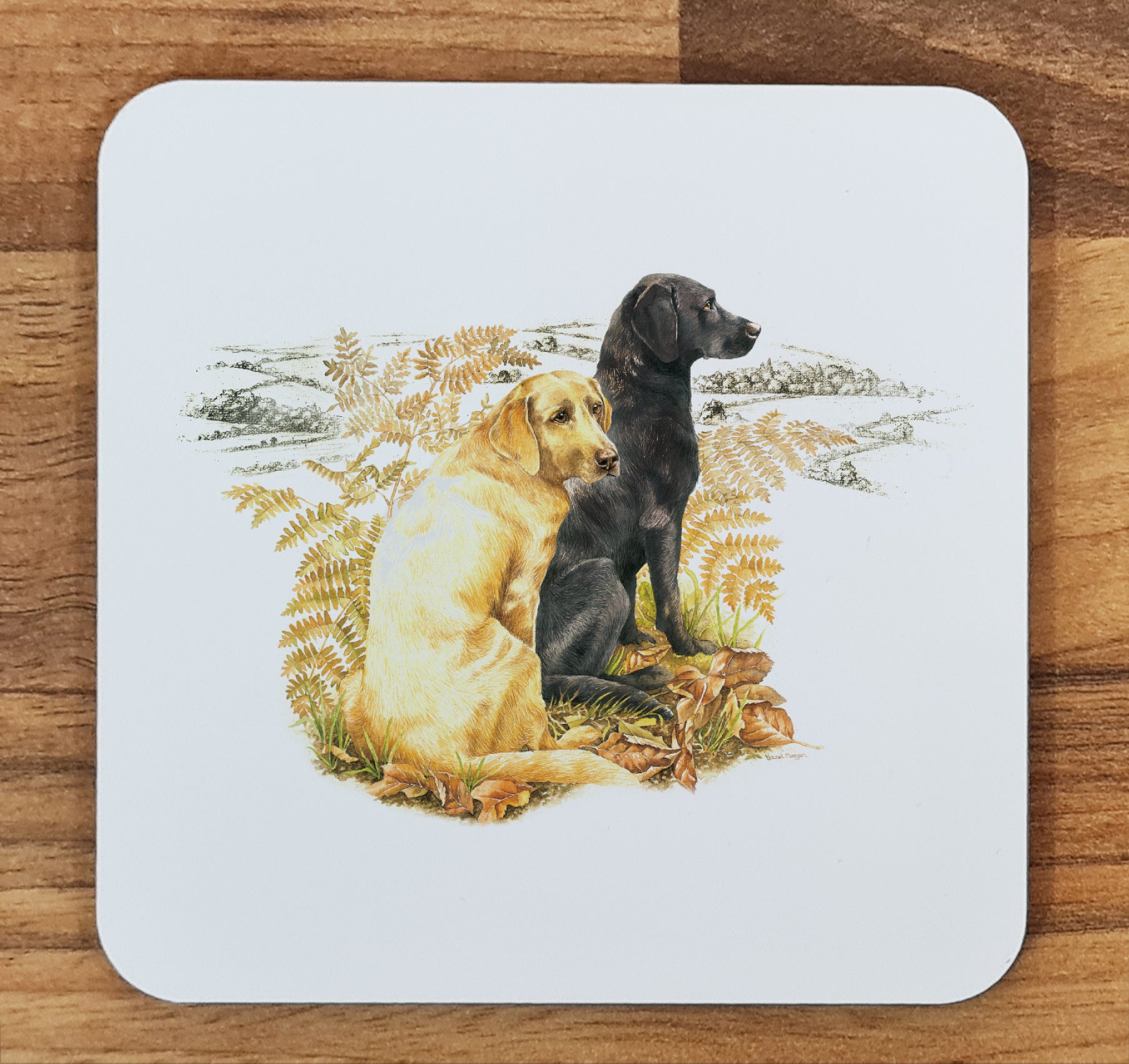 labrador coaster