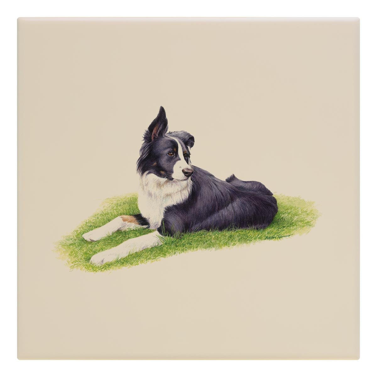 Sheep Dog Tile - Countryman John