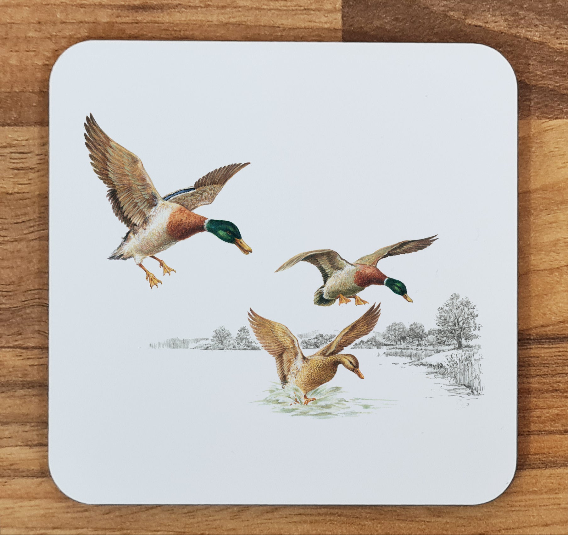 duck coaster